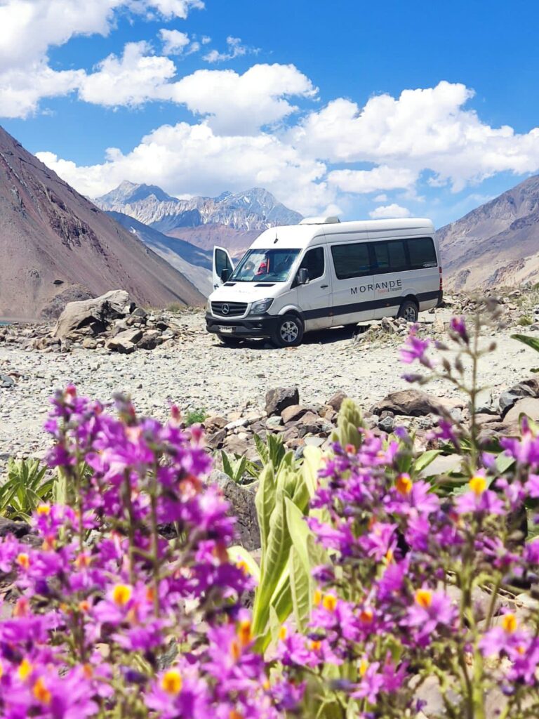 99cf5363-9cde-4779-b568-93aadd178cb2