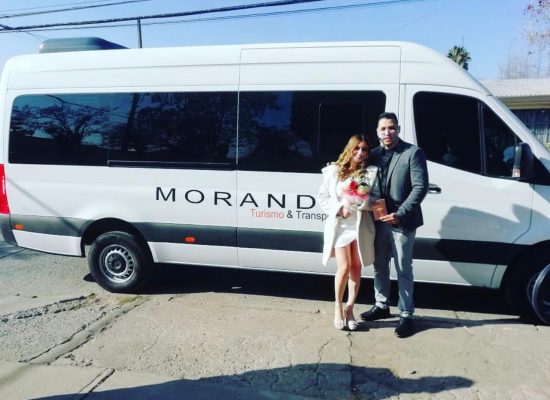 181bd033-f5e6-439a-a981-305efb22d022